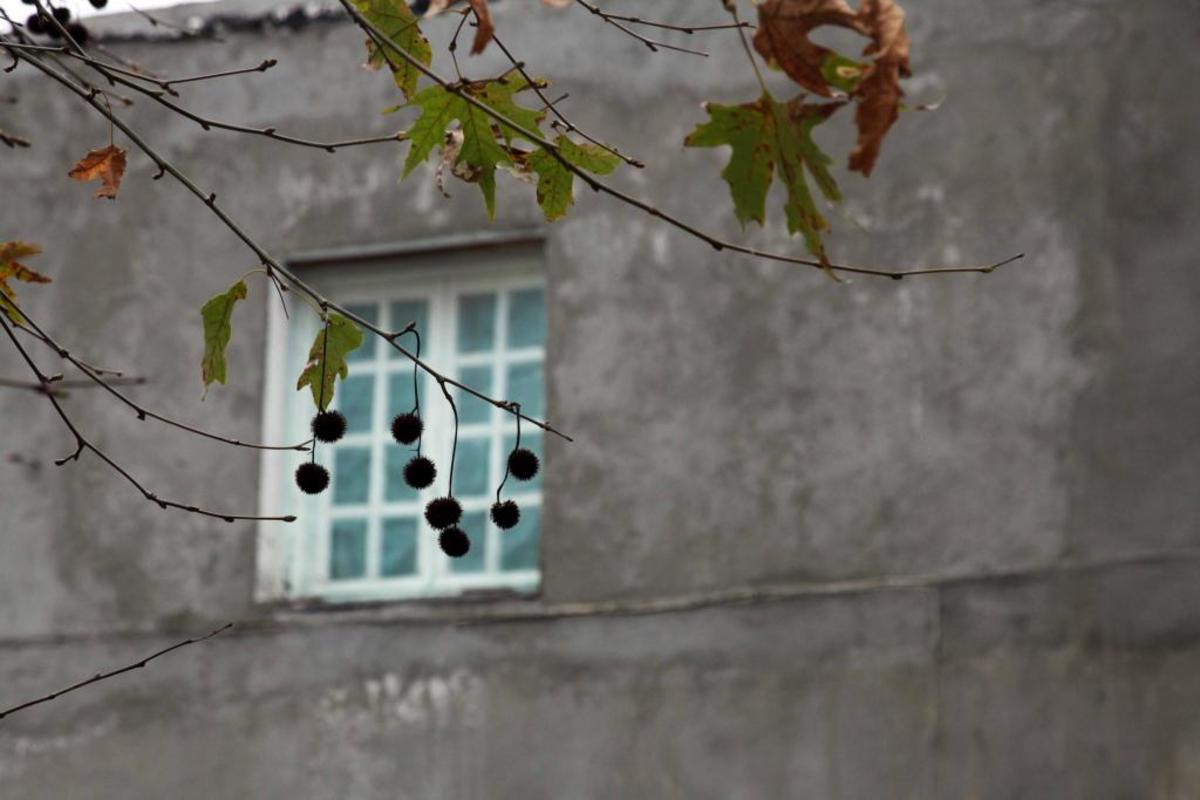 ΦΩΤΟ ΑΡΧΕΙΟΥ EUROKINISSI