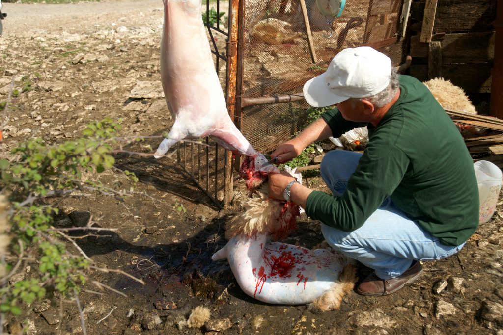 ΦΩΤΟ ΑΡΧΕΙΟΥ EUROKINISSI