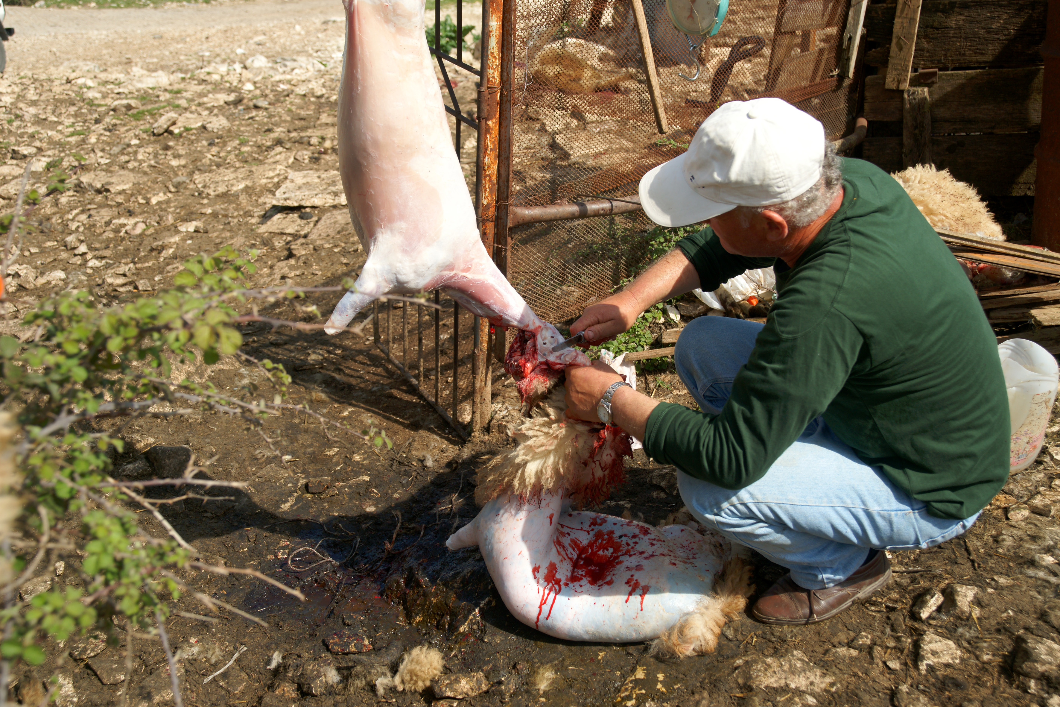 ΦΩΤΟ ΑΡΧΕΙΟΥ EUROKINISSI