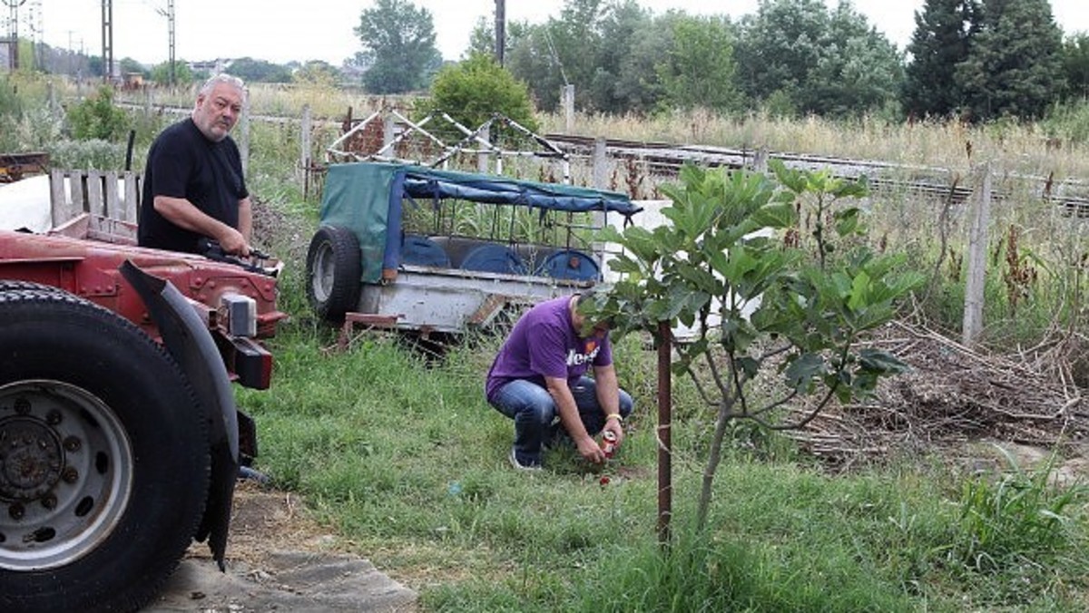 Tι προβλέπει ο νόμος για την περίπτωση του 14χρονου που σκότωσε τον φίλο του