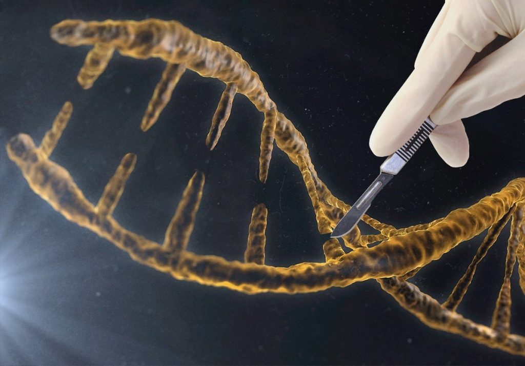Θα αλλάζουμε το DNA των παιδιών μας για να αφαιρούμε τα «ελαττώματα» – Η επιστήμη στο όριο της ευγονικής