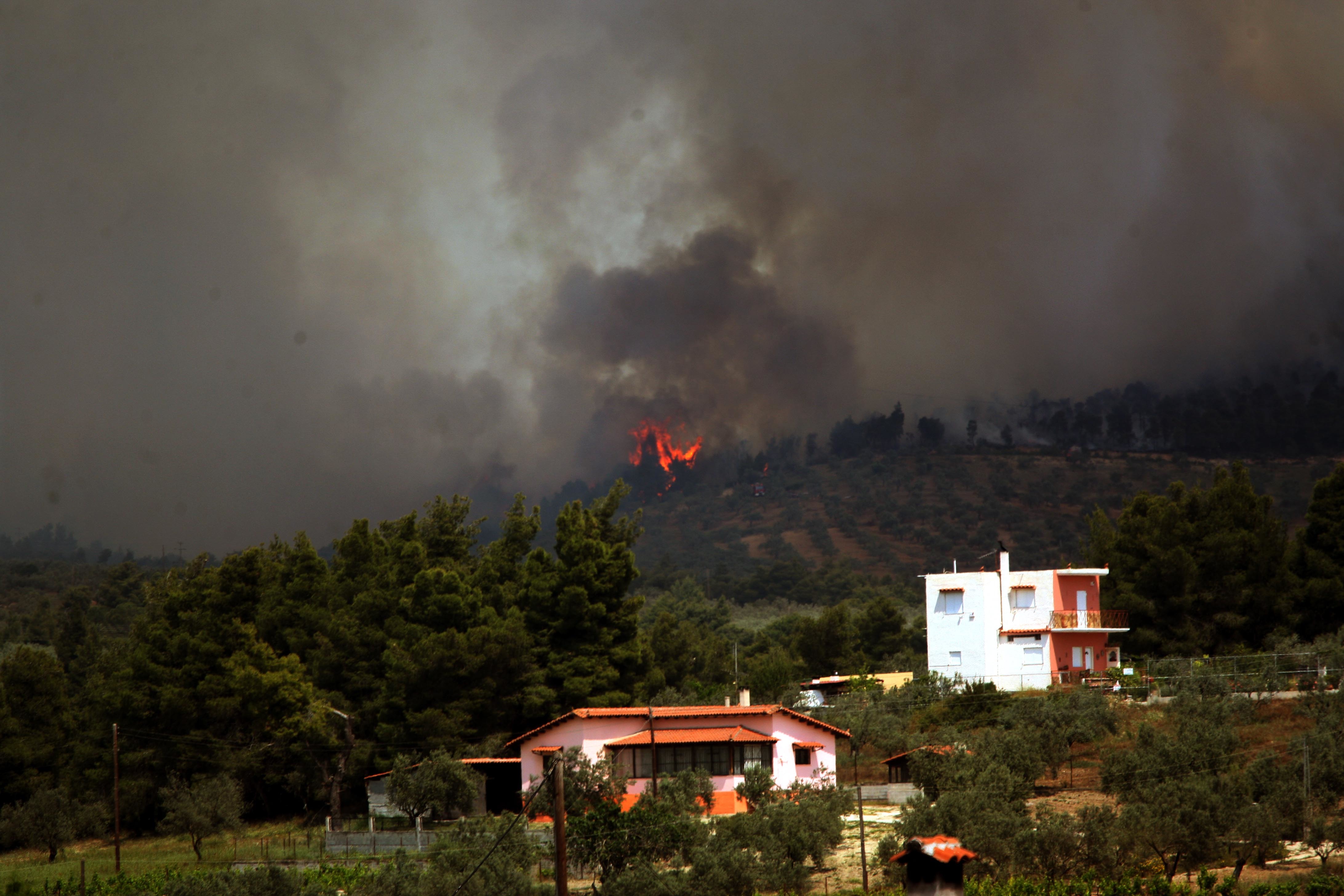 ΦΩΤΟ EUROKINISSI