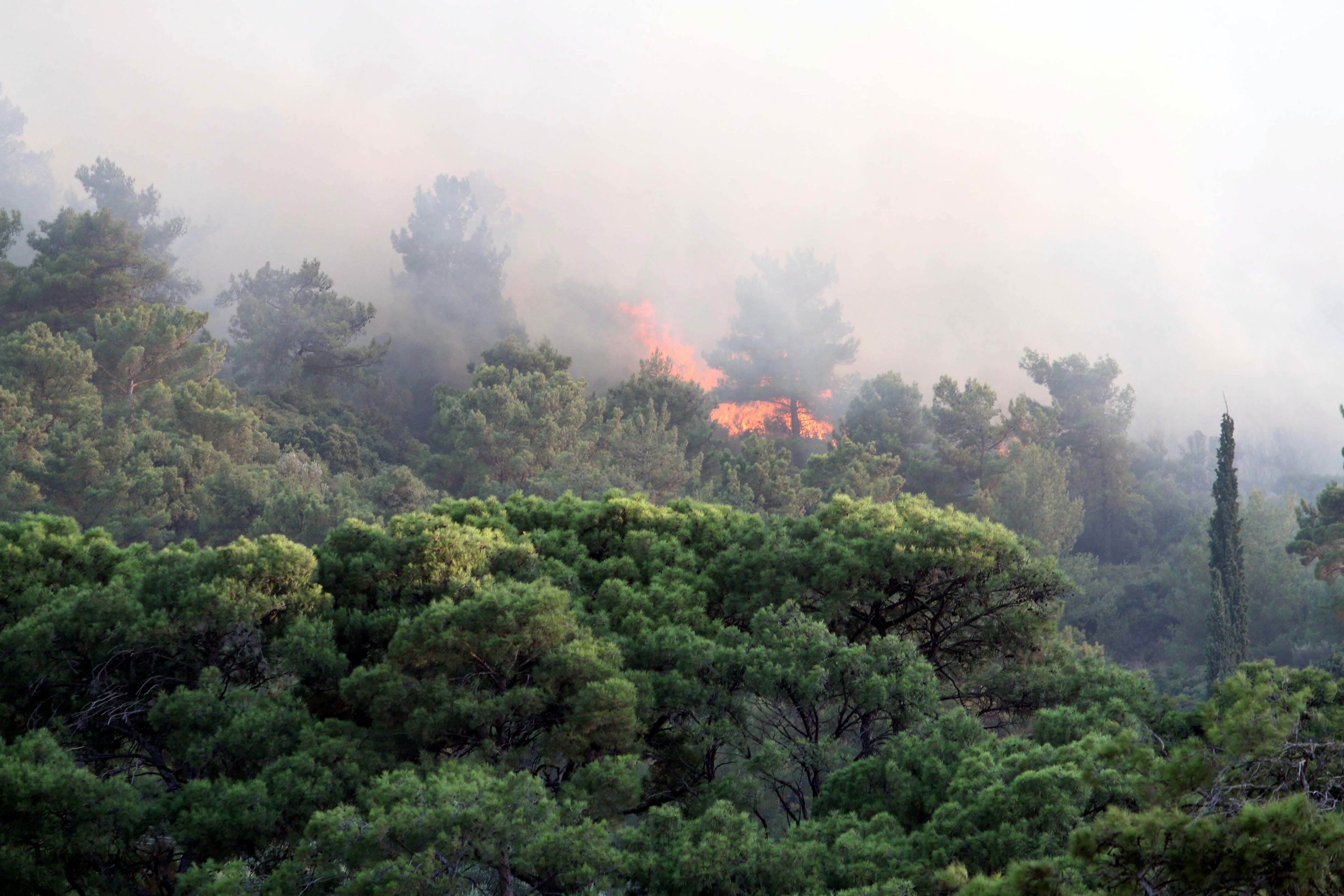 Υπό μερικό έλεγχο η πυρκαγιά στην Ασβεστόπετρα Πτολεμαΐδας