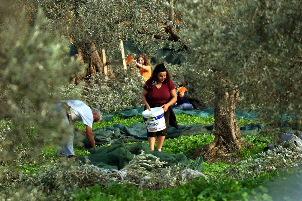 ΦΩΤΟ ΑΡΧΕΙΟΥ EUROKINISSI