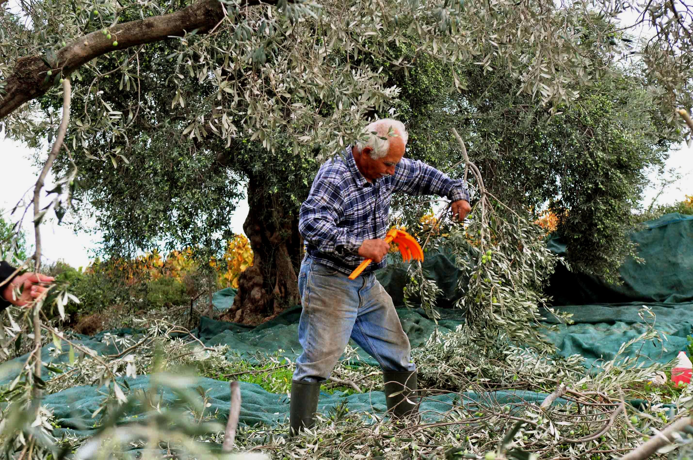 ΦΩΤΟ ΑΡΧΕΙΟΥ EUROKINISSI