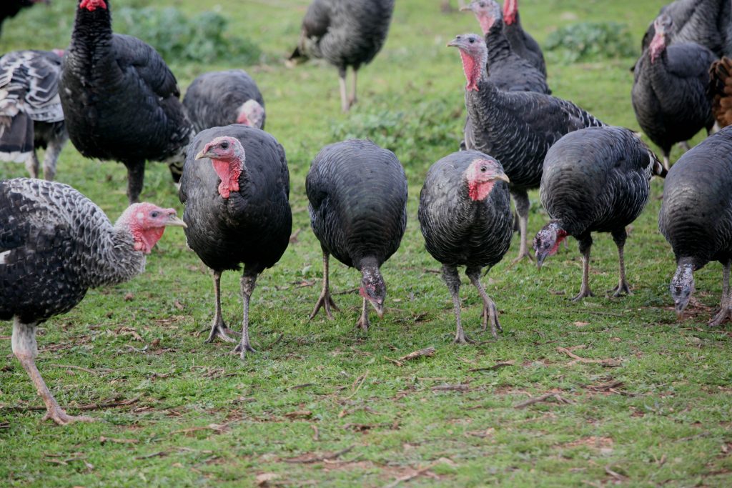 ΦΩΤΟ EUROKINISSI