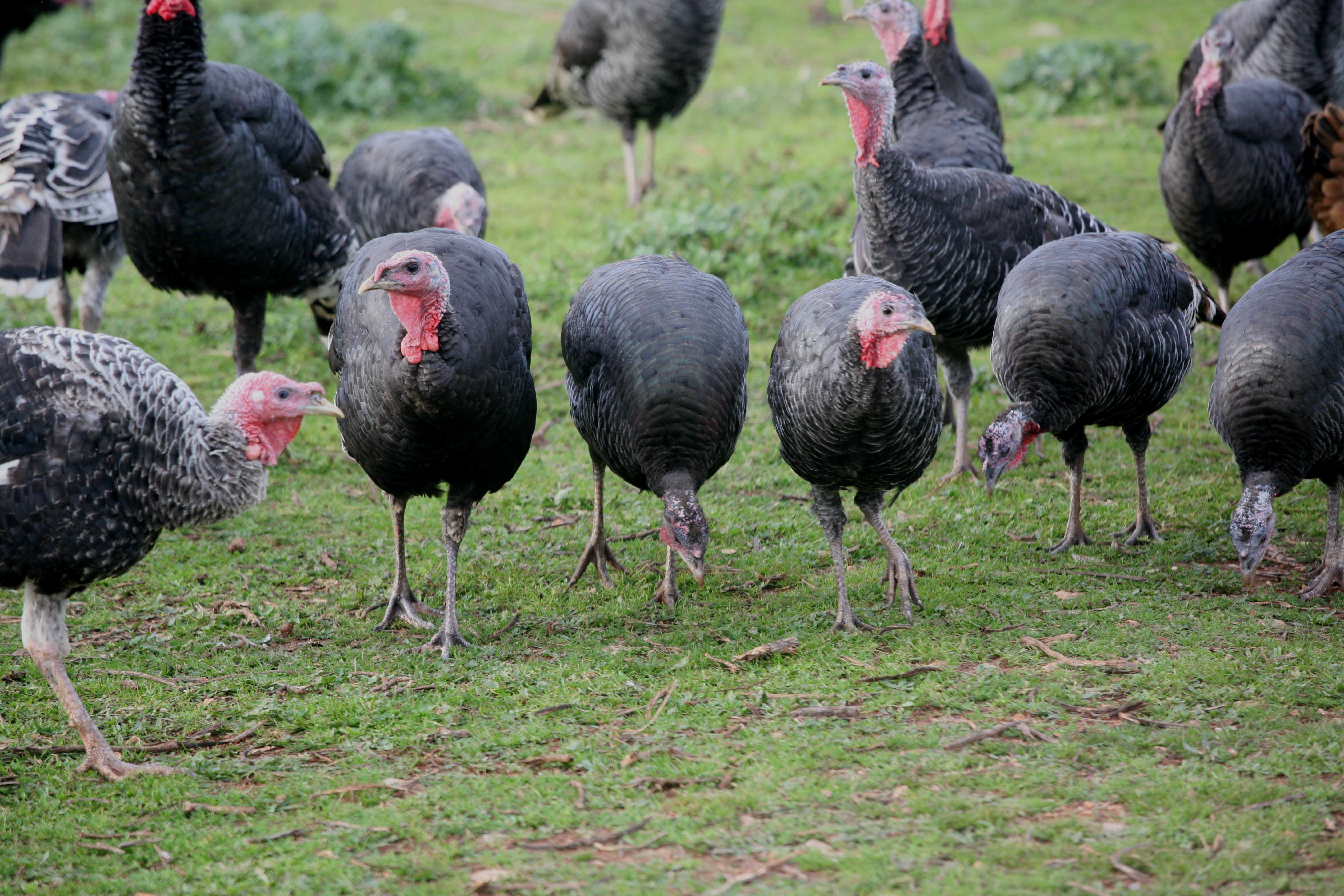 ΦΩΤΟ EUROKINISSI
