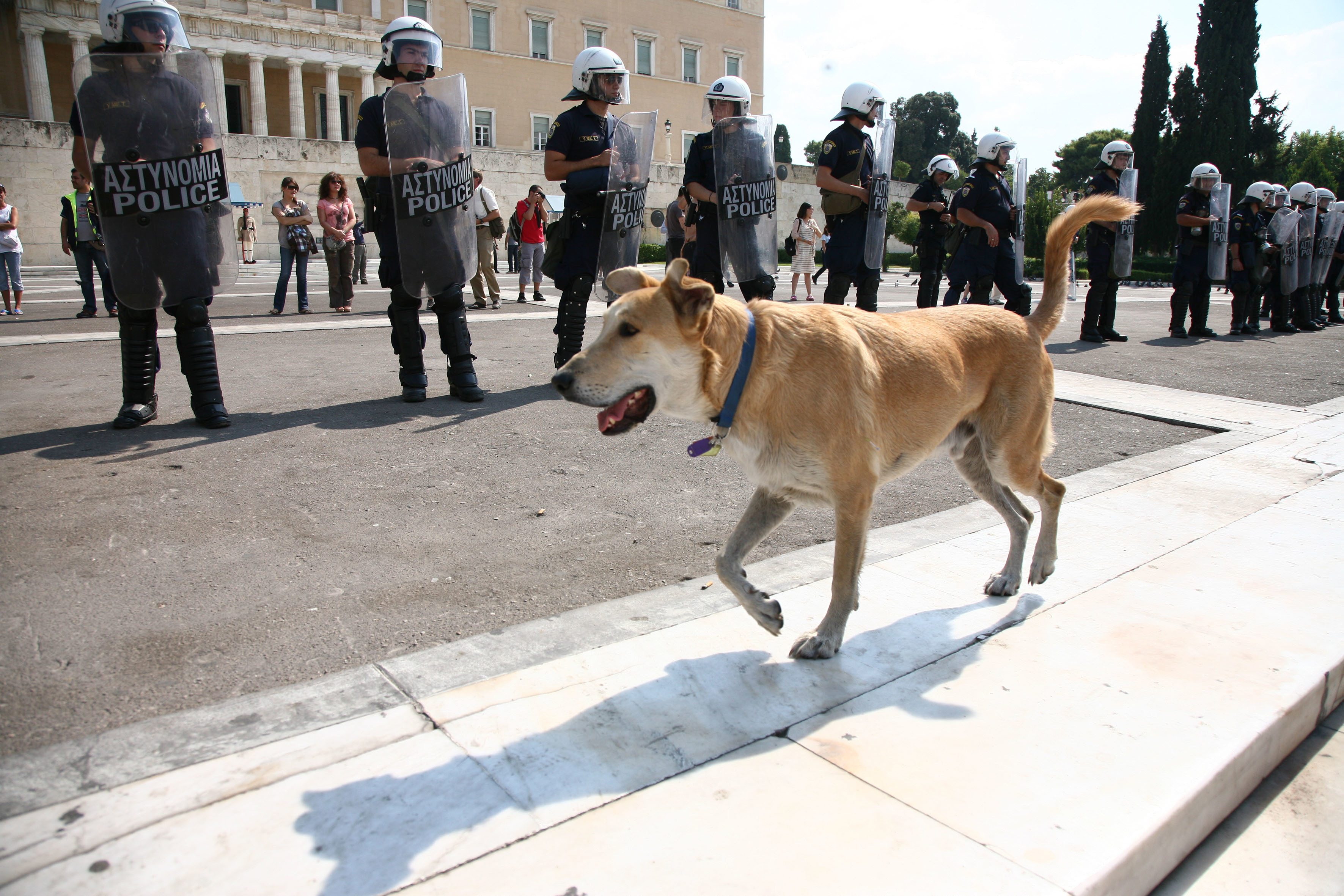 “Οι φίλοι του Λουκάνικου” έκαψαν το αυτοκίνητο της συζύγου του Ράϊχενμπαχ