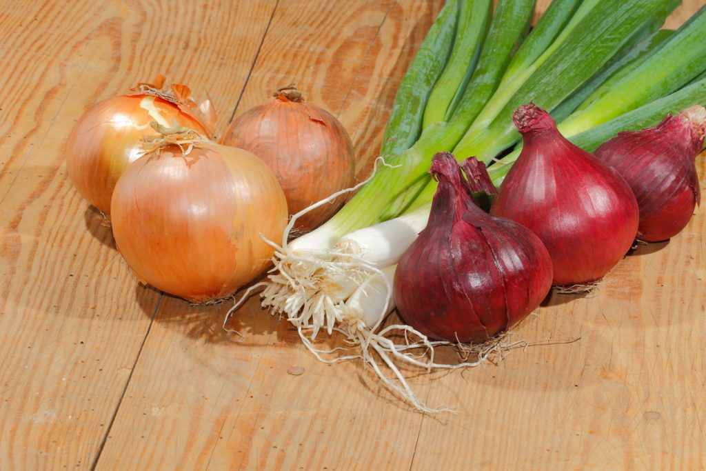 Τα κρεμμύδια προστατεύουν από τον καρκίνο – Δείτε πώς!