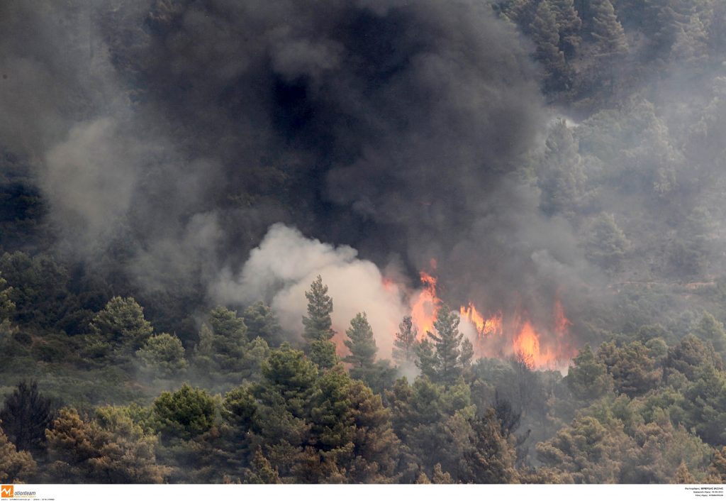Πυρκαγιά στο Μαντούδι
