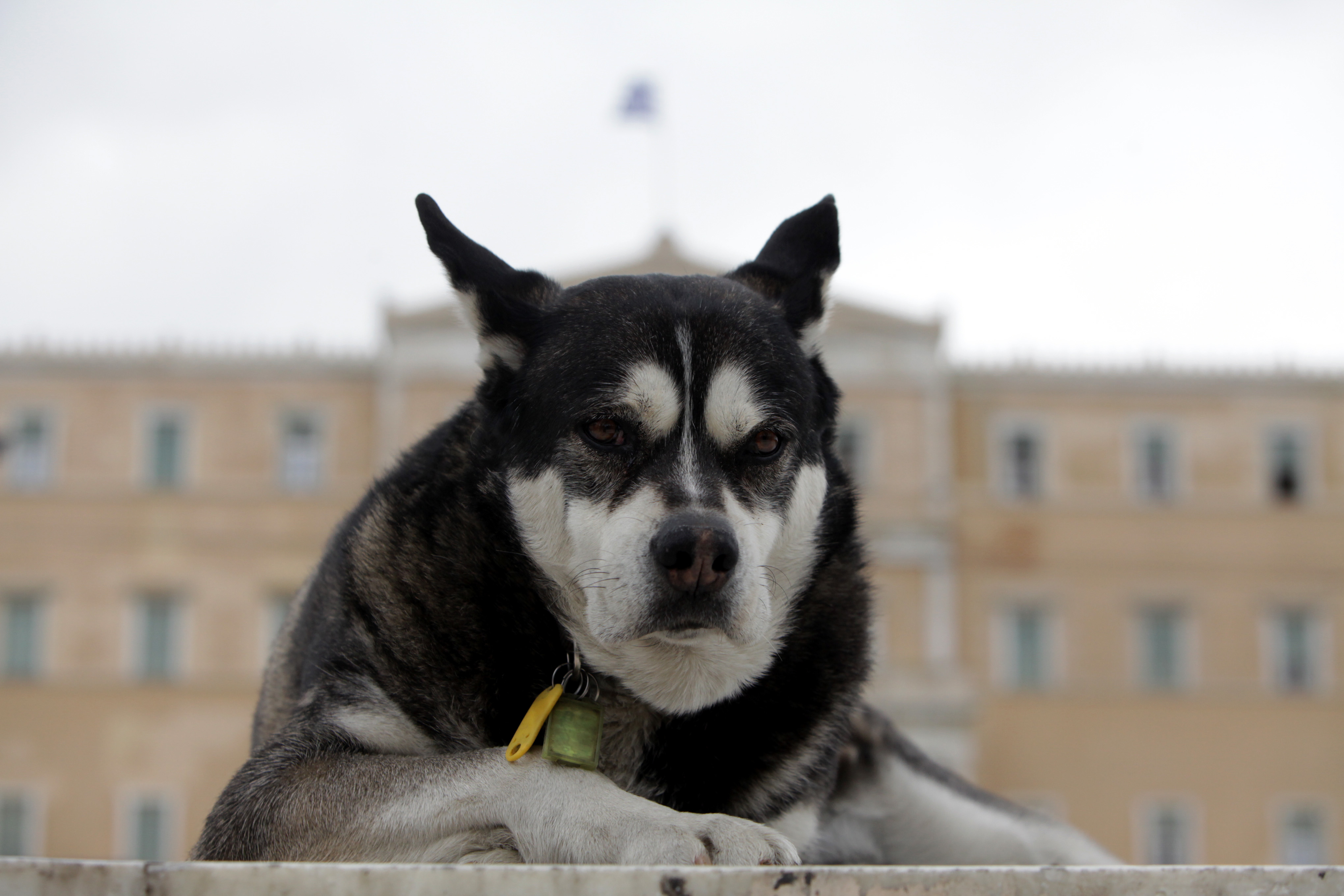 ΦΩΤΟ από seleo.gr