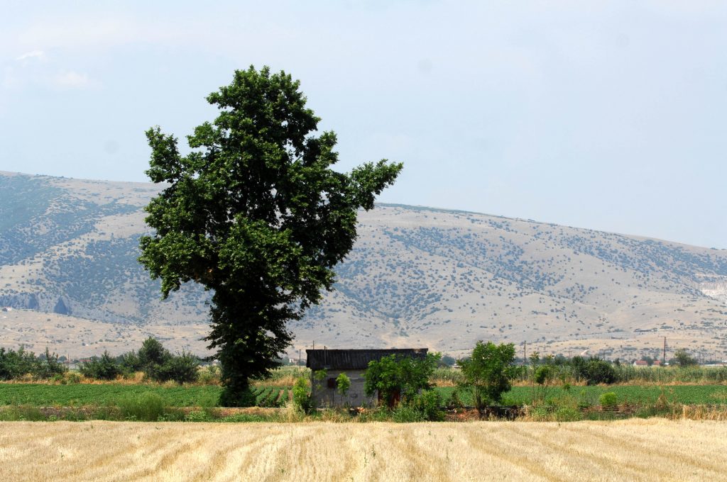 ΦΩΤΟ ΑΡΧΕΙΟΥ EUROKINISSI