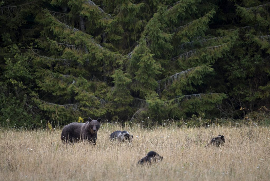 ΛΕΥΚΟΡΩΣΙΑ