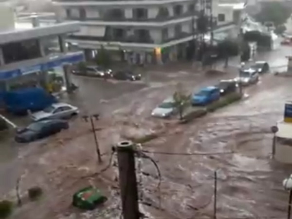 Καιρός: Δρόμοι… ποτάμια και κομμένα δέντρα μετά την καταρρακτώδη βροχή στην Αττική! Συγκλονιστικές εικόνες