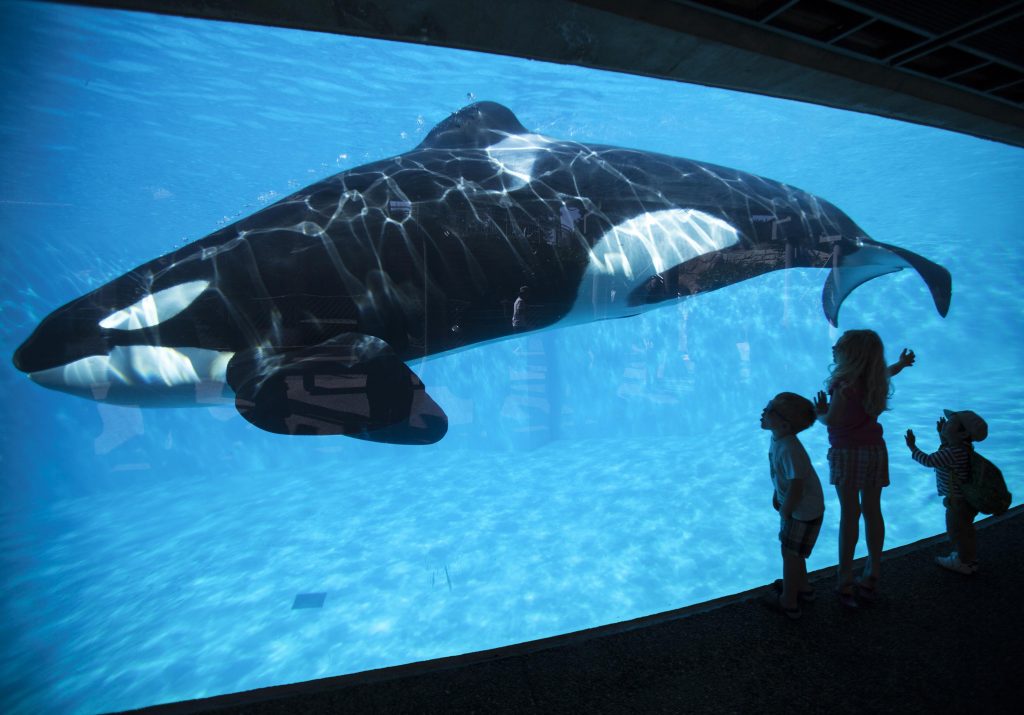 ΚΑΛΙΦΟΡΝΙΑ