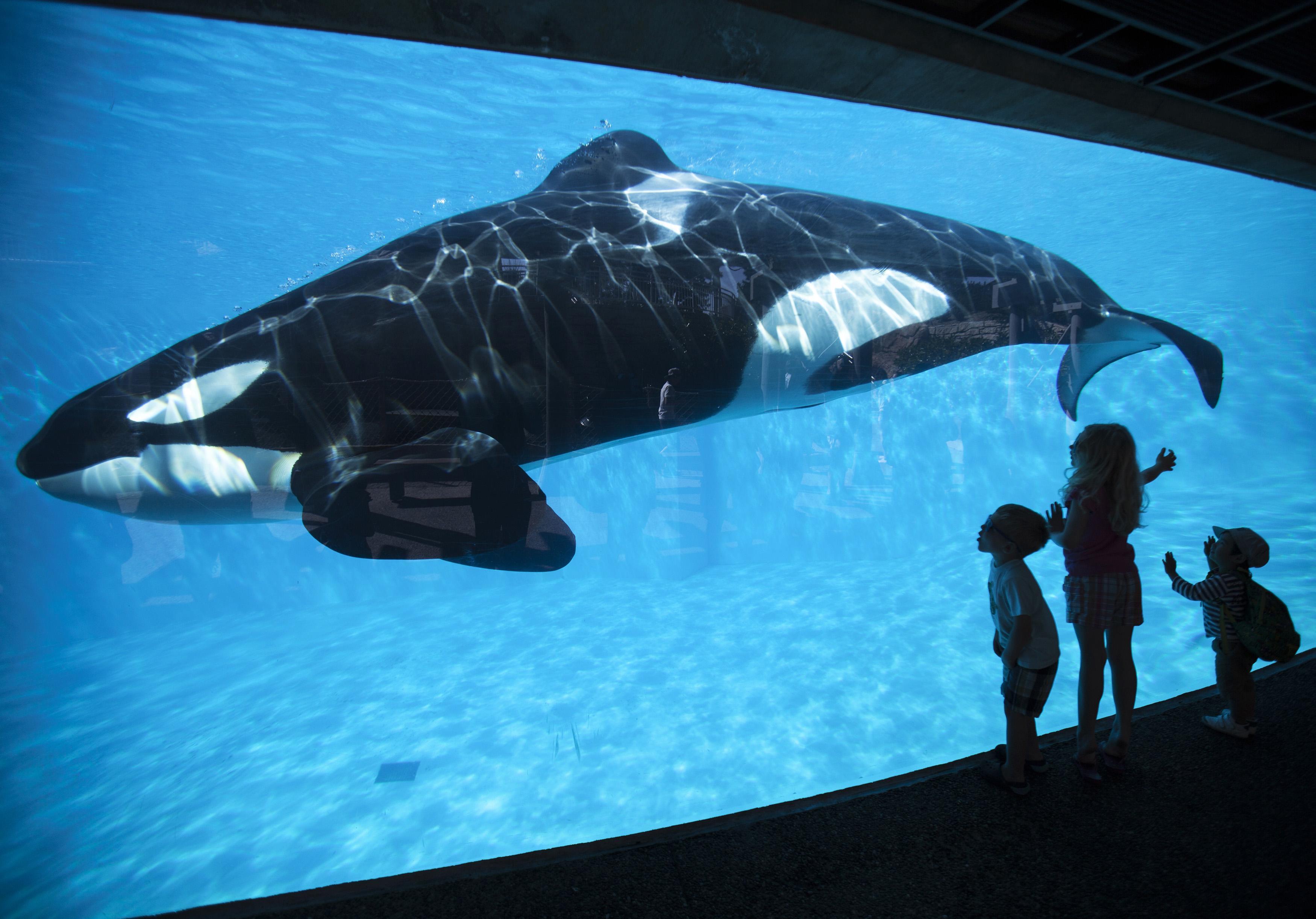 ΚΑΛΙΦΟΡΝΙΑ