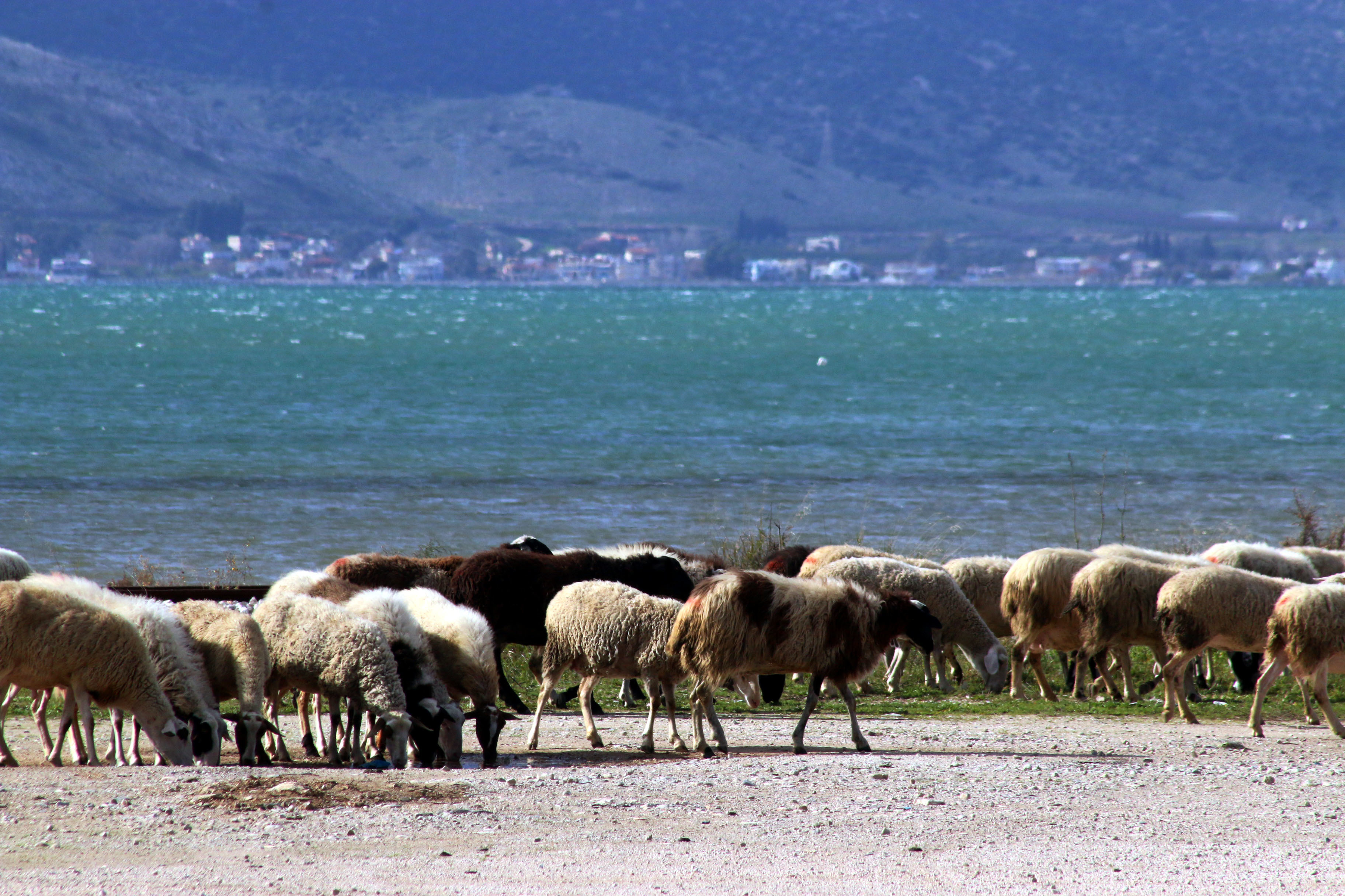 ΦΩΤΟ ΑΡΧΕΙΟΥ EUROKINISSI