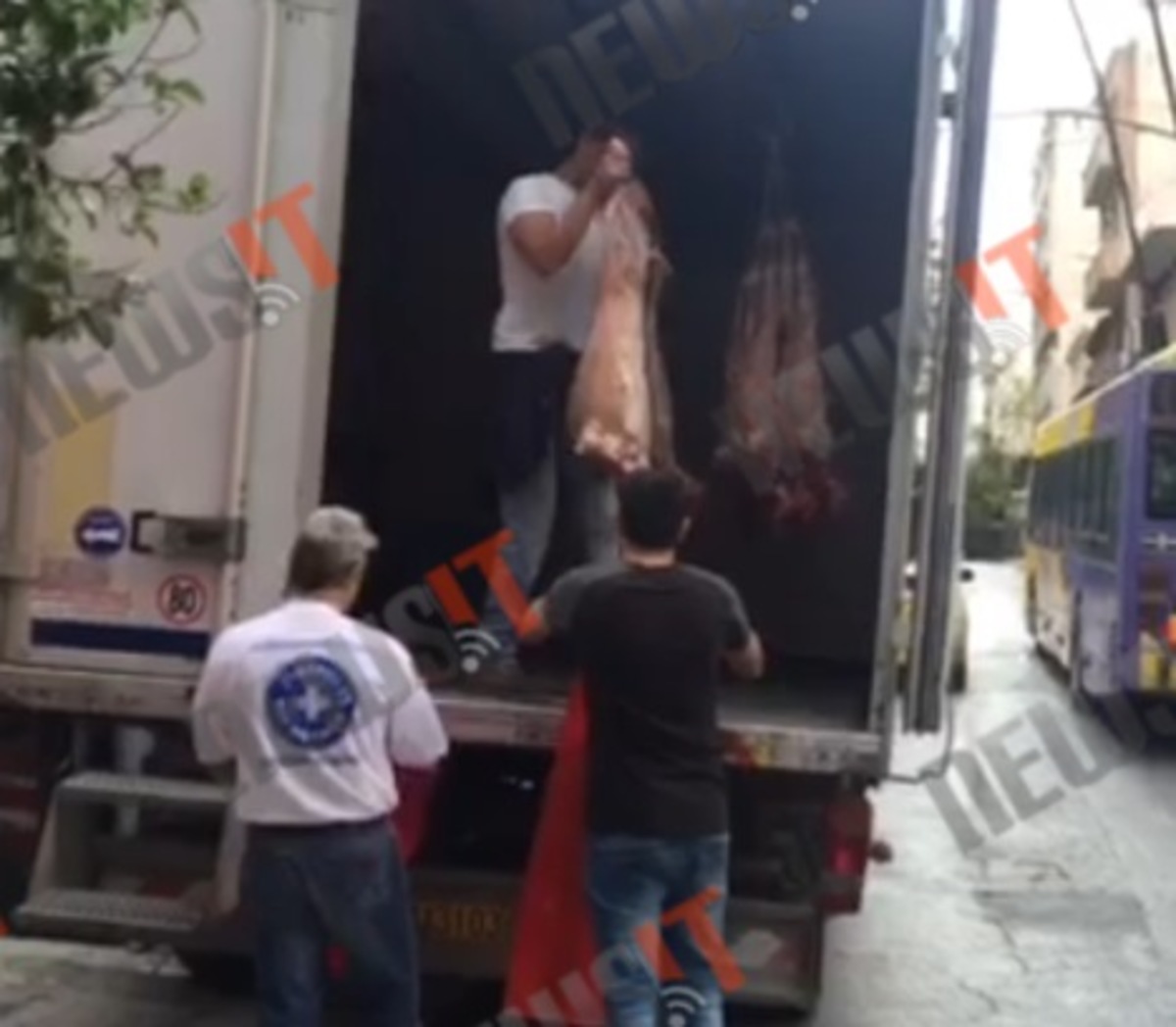 Διανομή αρνιών σε άπορους