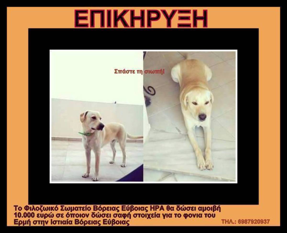 ΦΩΤΟ από eviazoom
