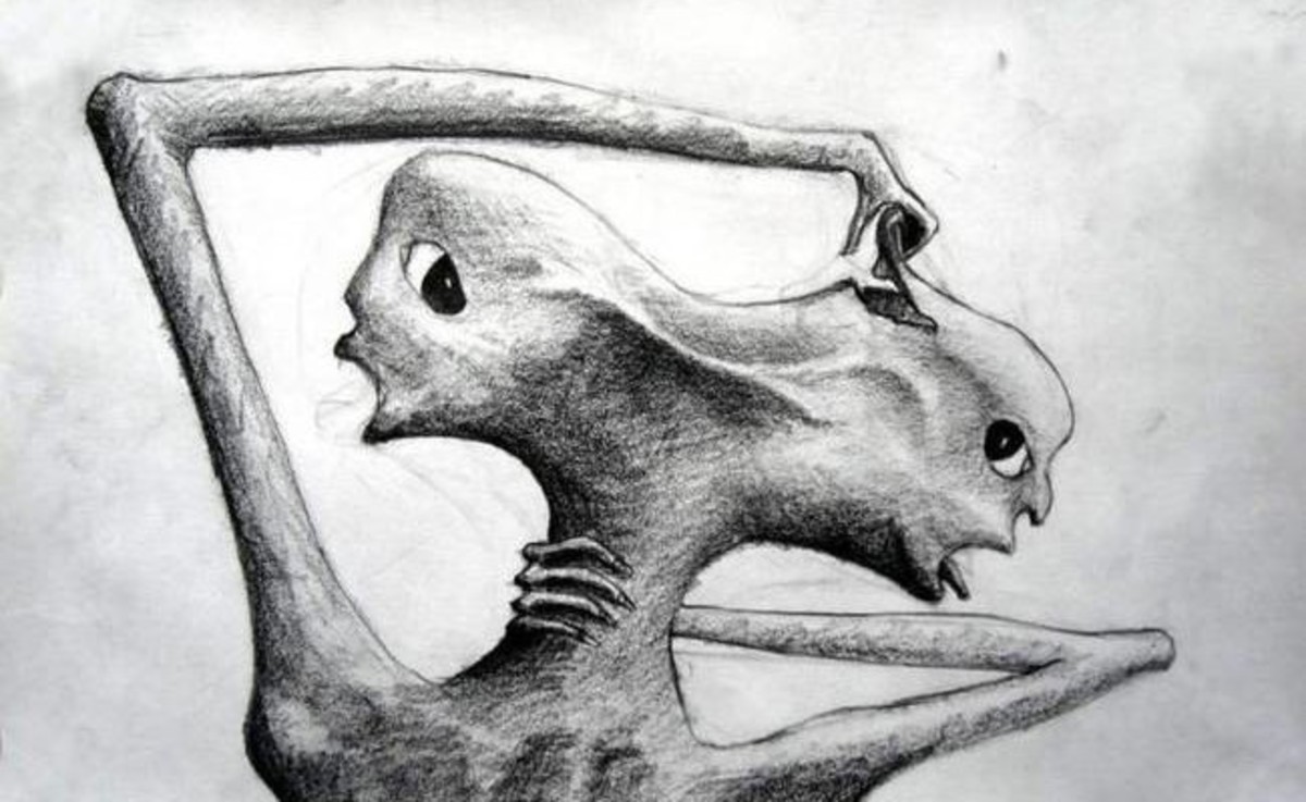 Μοναδικό: Έργα τέχνης από ανθρώπους με σχιζοφρένεια