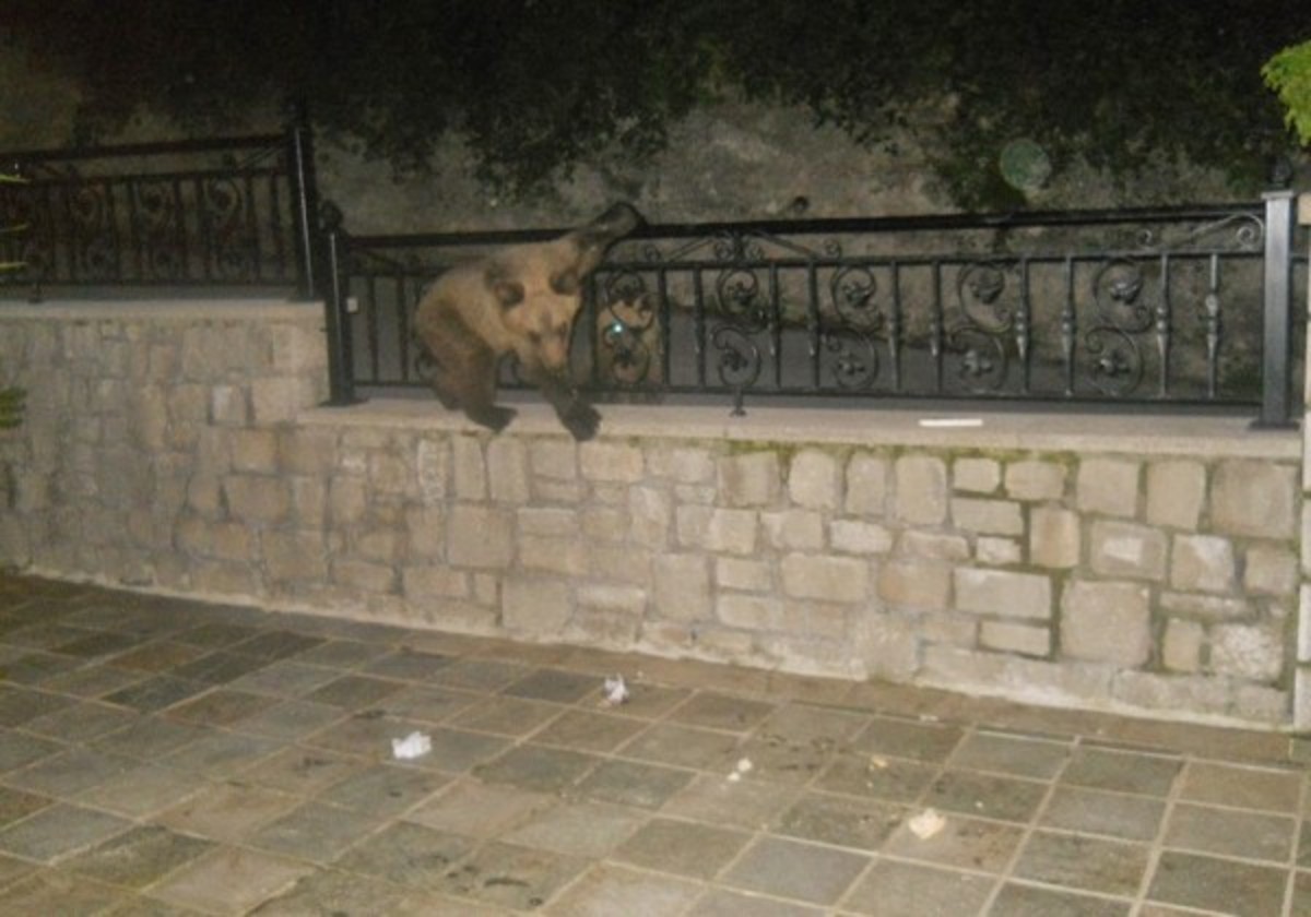 ΦΩΤΟ από epirusgate