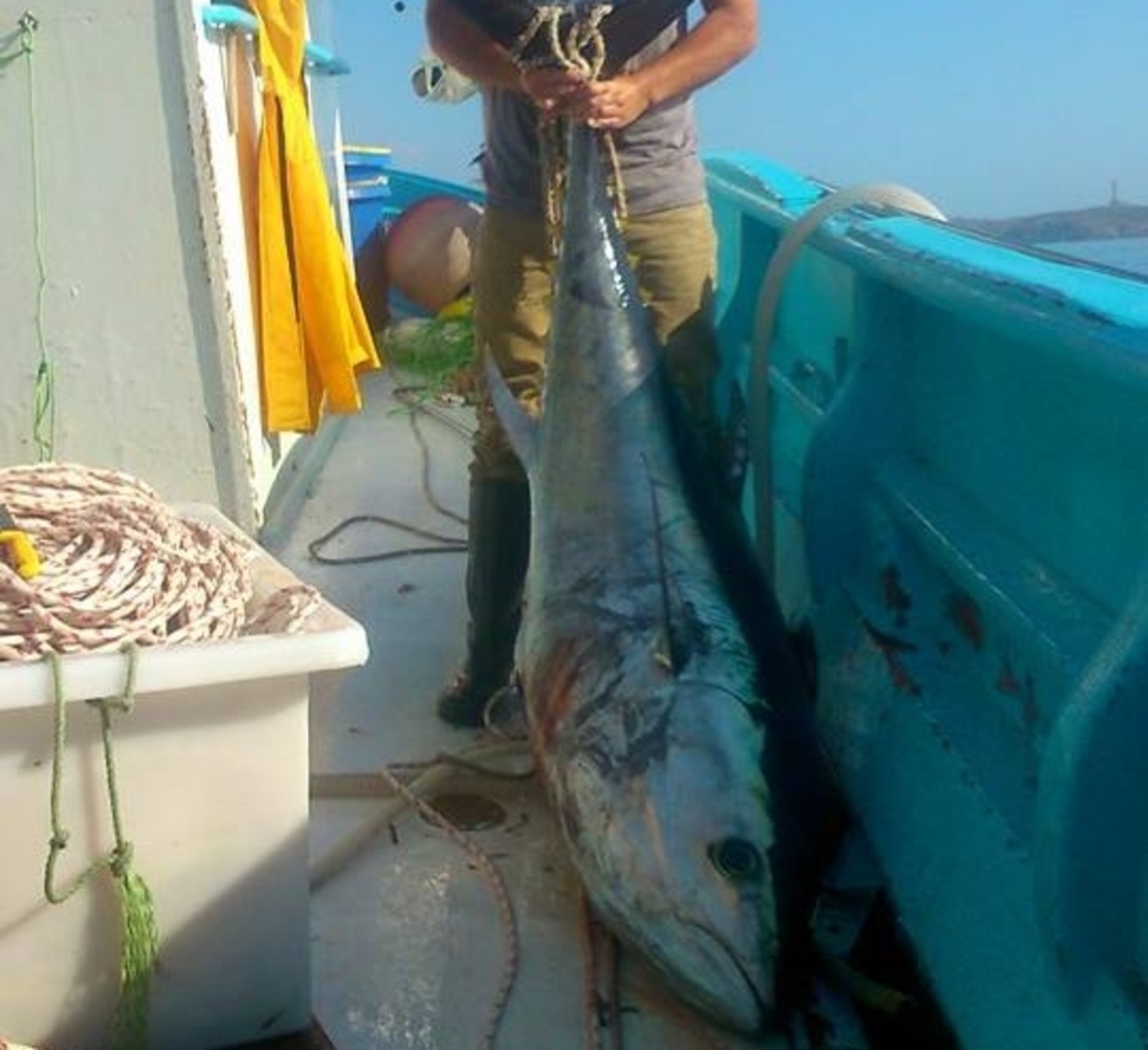 ΦΩΤΟ από cyclades24.gr
