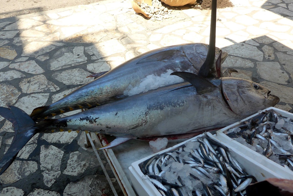 ΦΩΤΟ EUROKINISSI