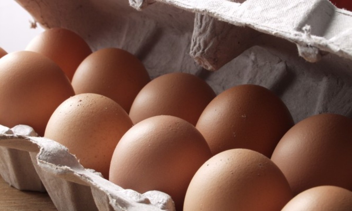Προσοχή όταν αγοράζετε αυγά: Τι λέει ο ΕΦΕΤ ότι πρέπει να γνωρίζετε