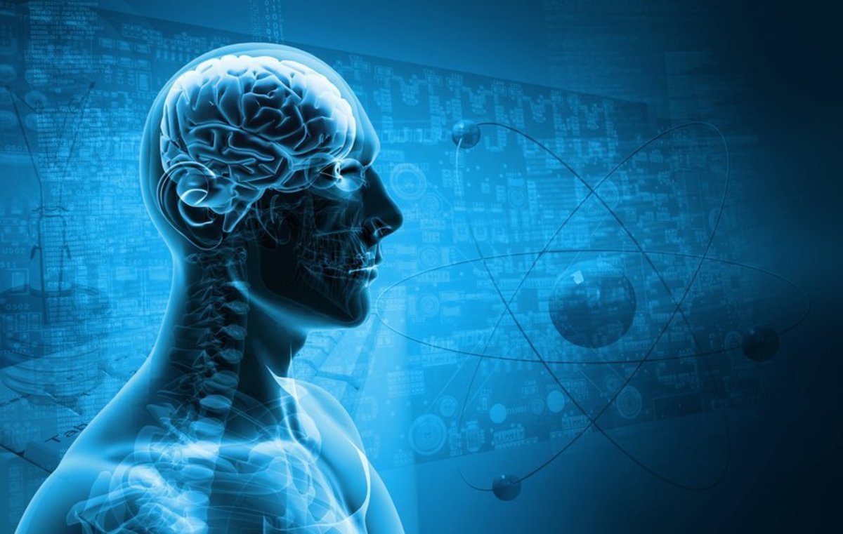 Άλμα στην αποκατάσταση εγκεφαλικών βλαβών με απευθείας μεταμόσχευση κυττάρων – Έρευνα με ελληνικό χρώμα