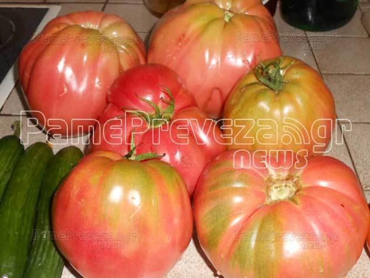 ΦΩΤΟ από pamepreveza.gr