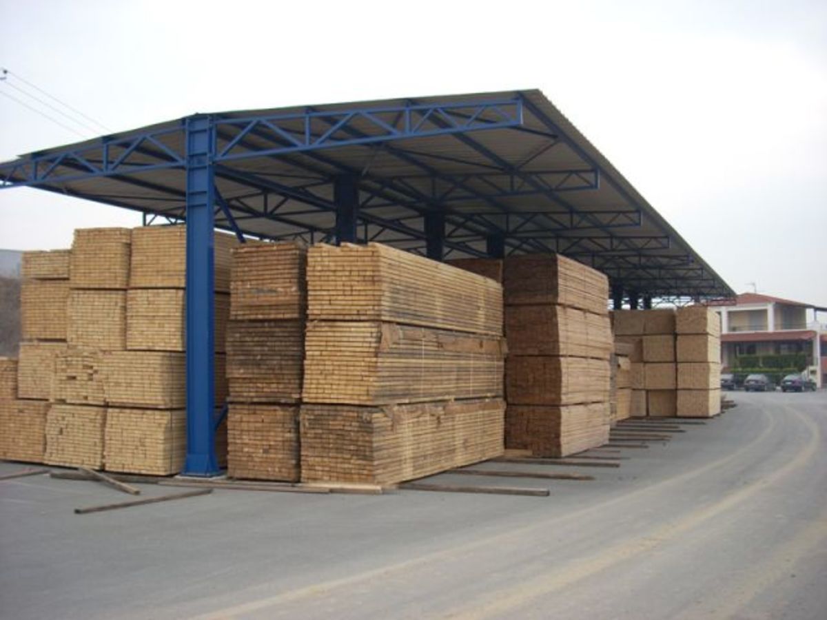 Πέλλα: Ο ξυλέμπορος τους… ξυλοφόρτωσε!