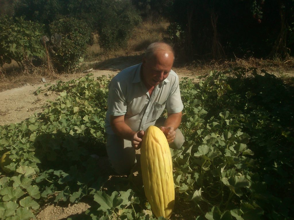 ΦΩΤΟ από flashnews.gr