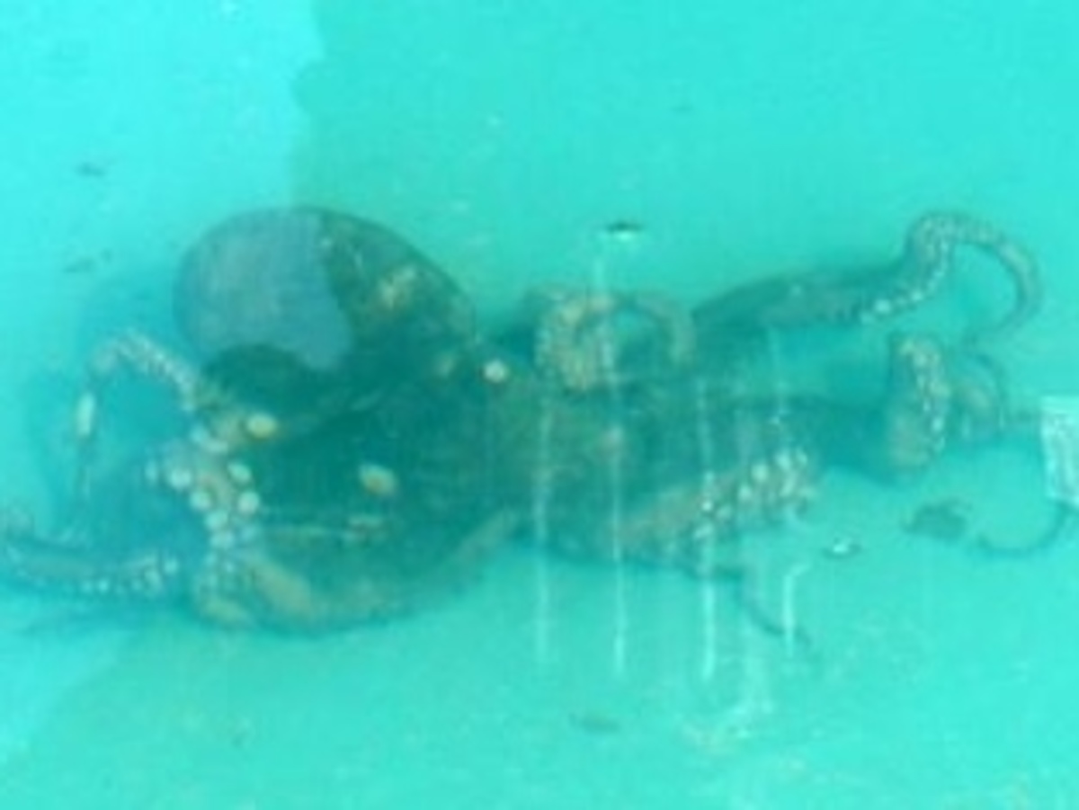 ΦΩΤΟ από thebest.gr