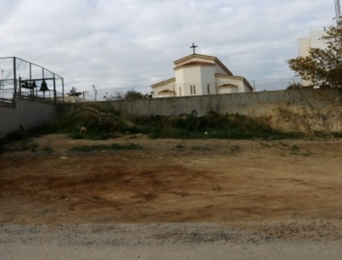 ΦΩΤΟ από cretalive.gr
