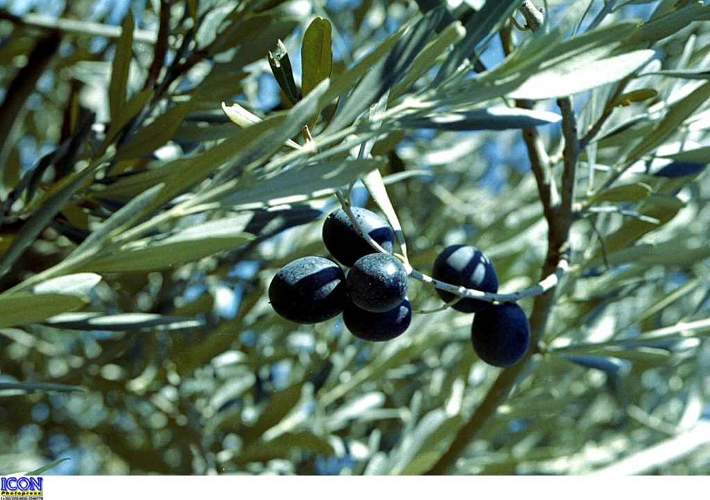ΦΩΤΟ ΑΡΧΕΙΟΥ EUROKINISSI