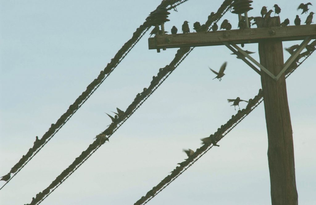 ΦΩΤΟ EUROKINISSI