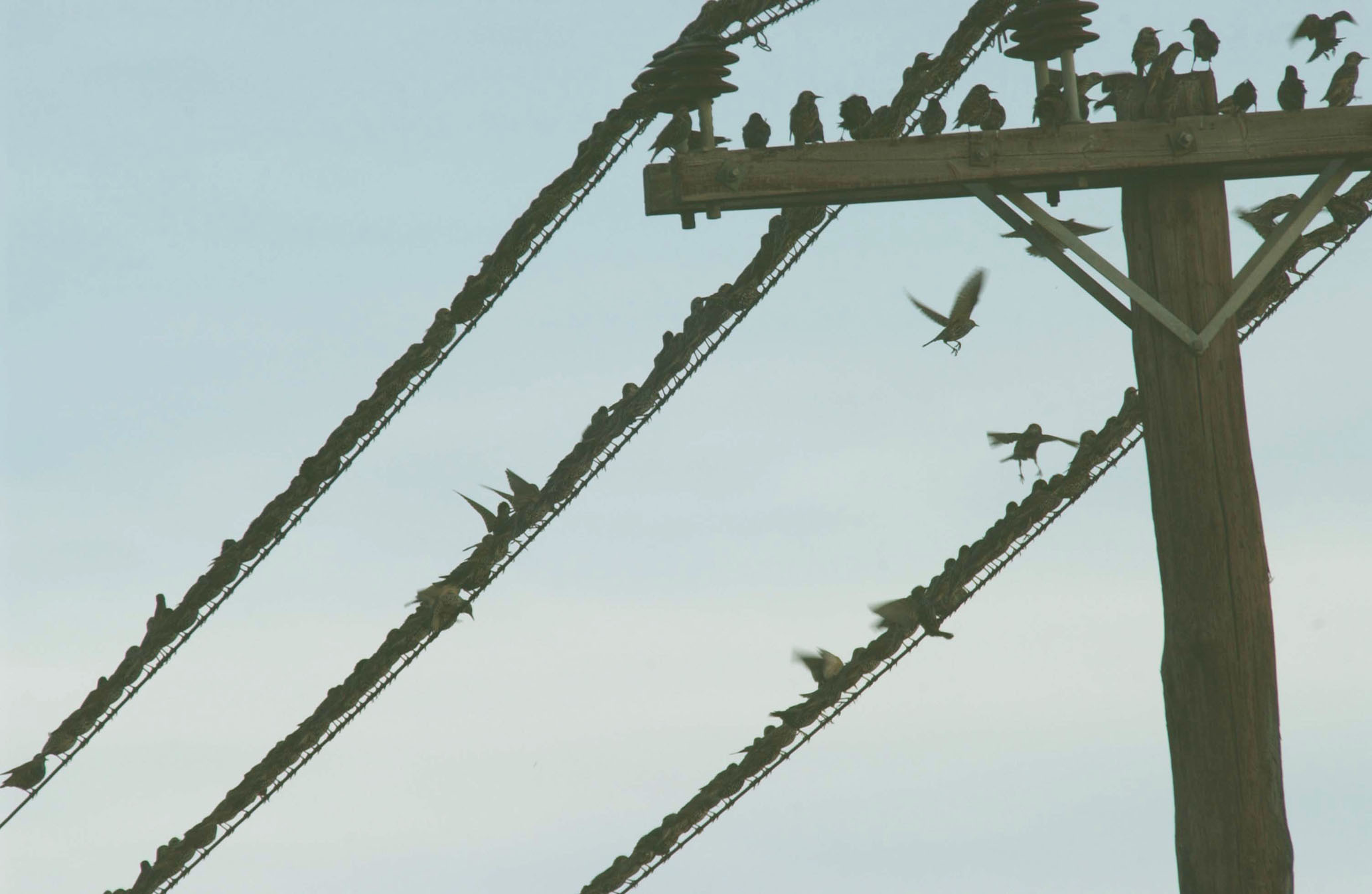 ΦΩΤΟ EUROKINISSI