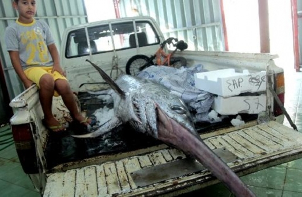 ΦΩΤΟ από patrastimes.gr