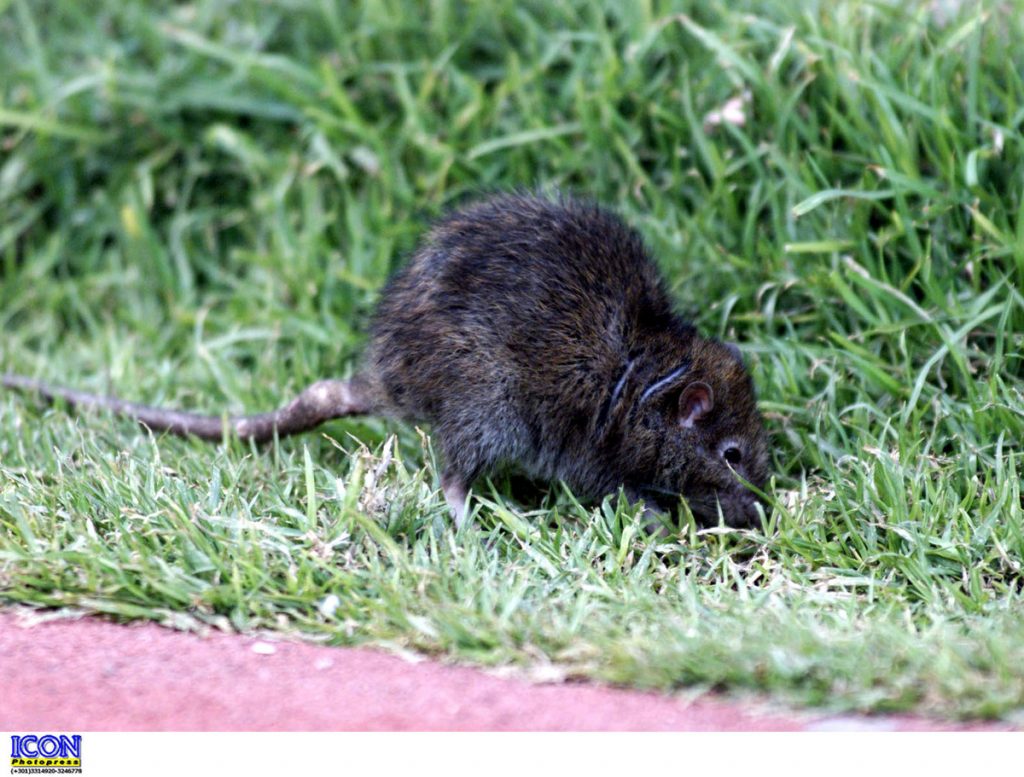 ΦΩΤΟ ΑΡΧΕΙΟΥ EUROKINISSI