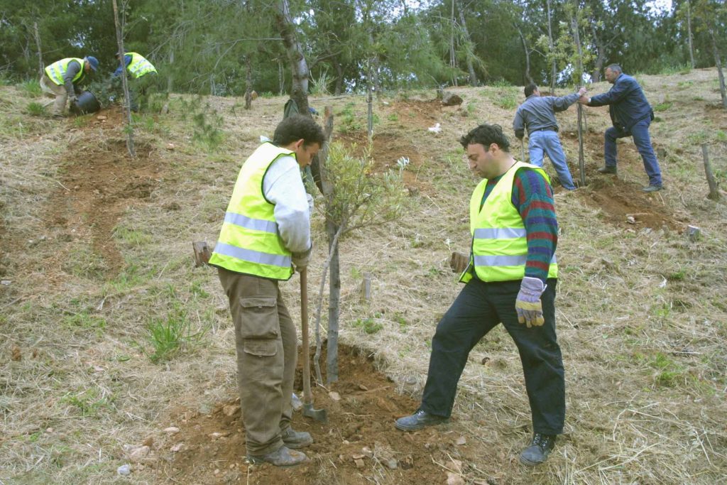 Μια “πρωτότυπη” δενδροφύτευση στην Κατερίνη