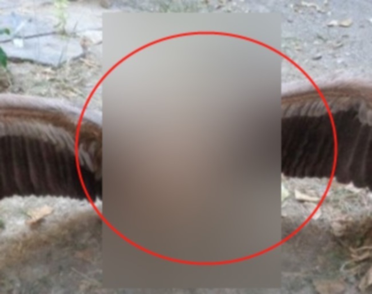 ΦΩΤΟ από cretapost.gr