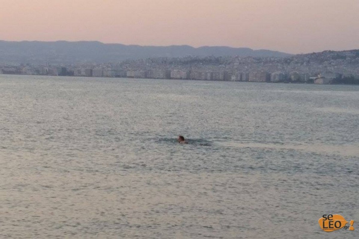 ΦΩΤΟ από seleo.gr