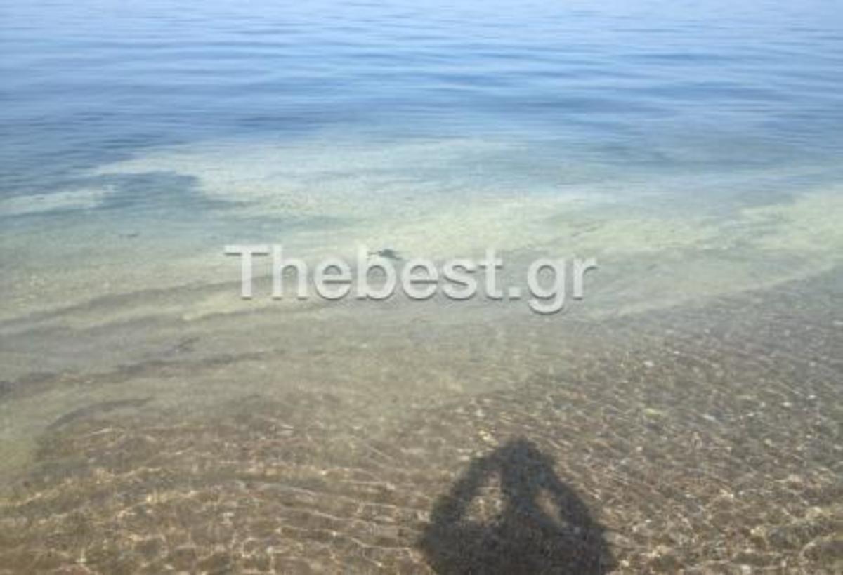 ΦΩΤΟ από thebest.gr