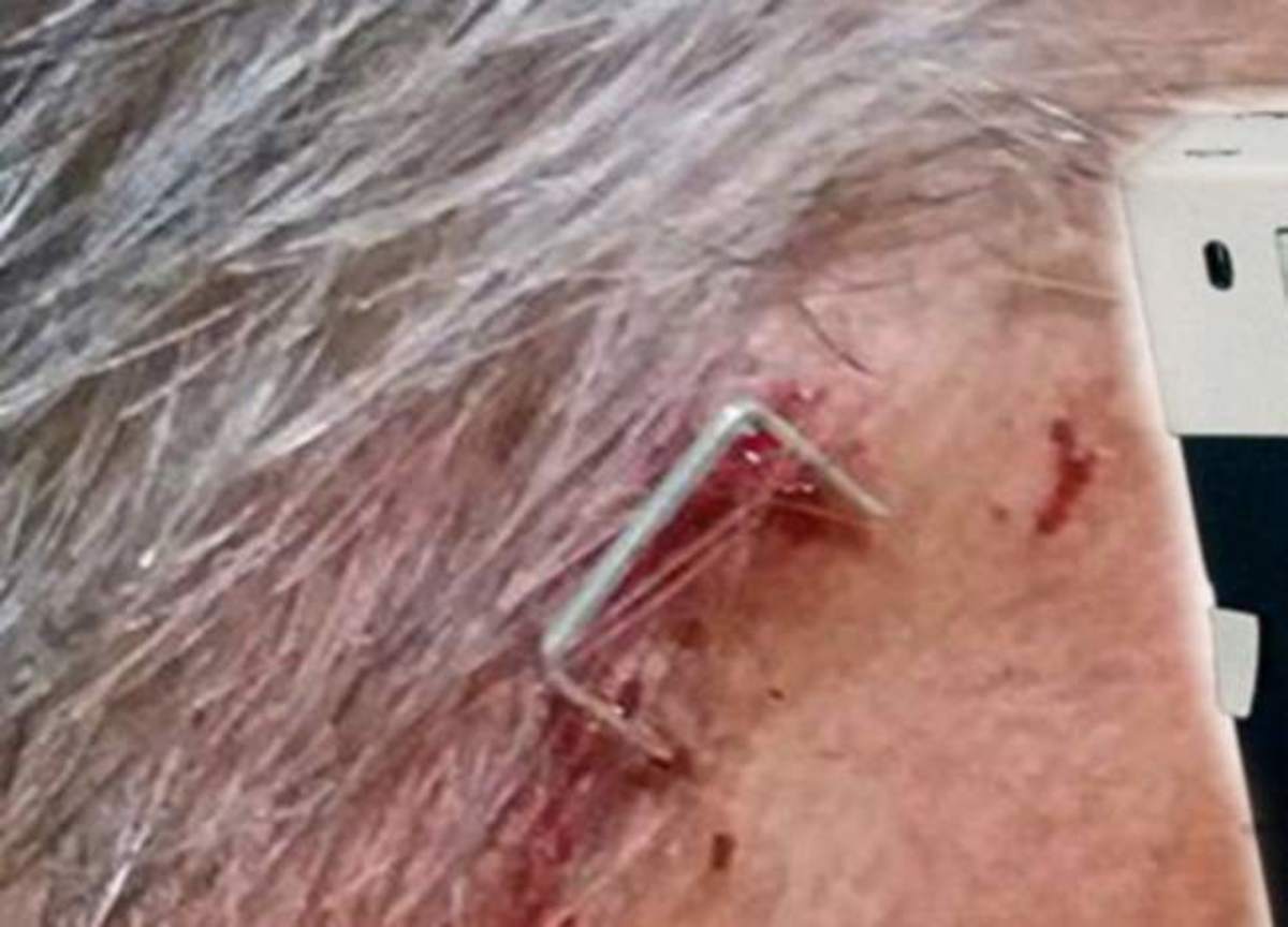 ΦΩΤΟ από ilialive.gr