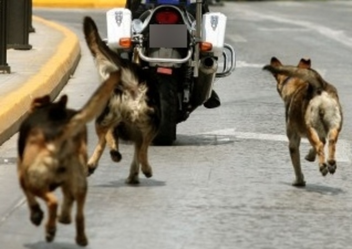 ΦΩΤΟ ΑΡΧΕΙΟΥ EUROKINISSI
