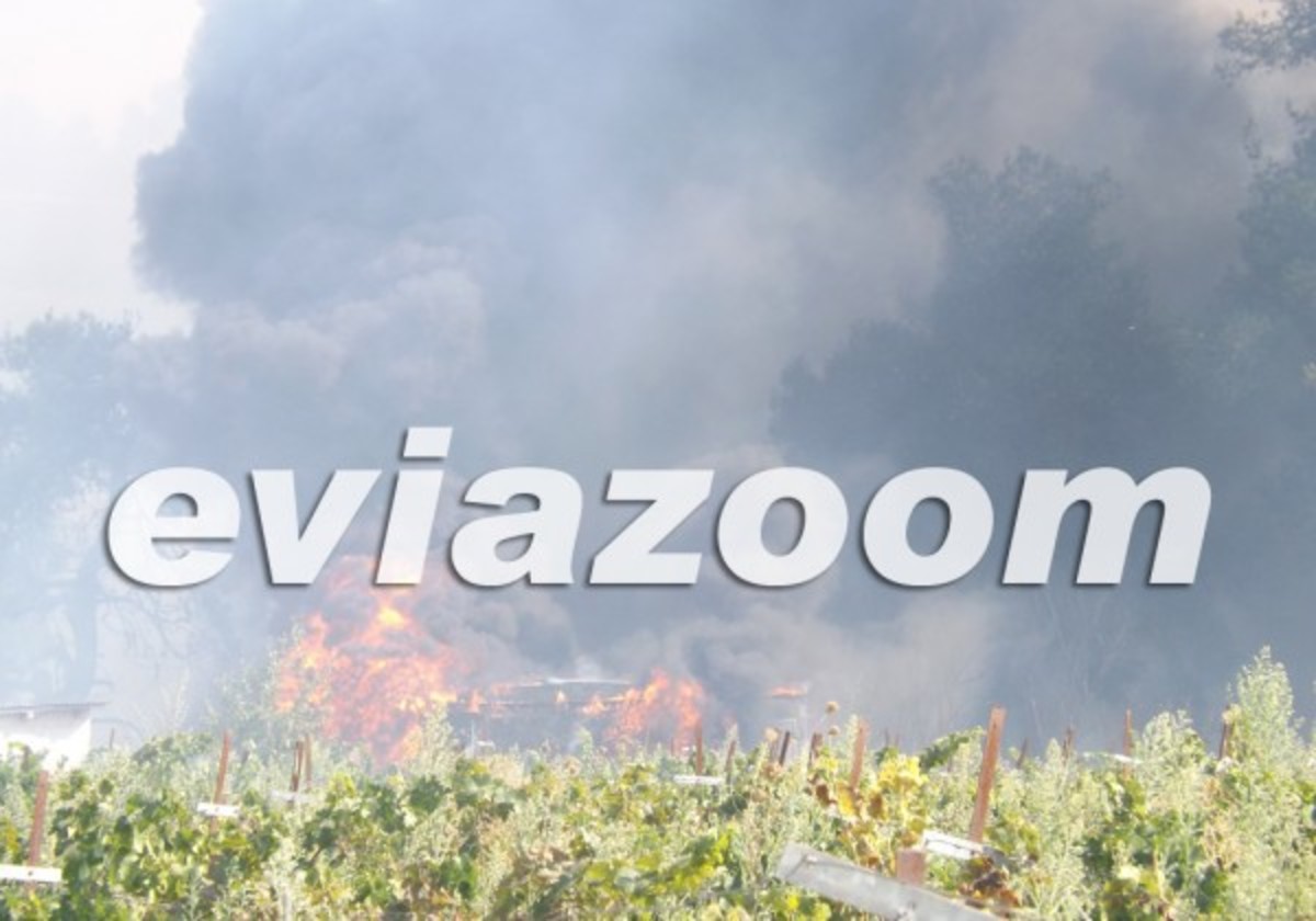 ΦΩΤΟ από eviazoom