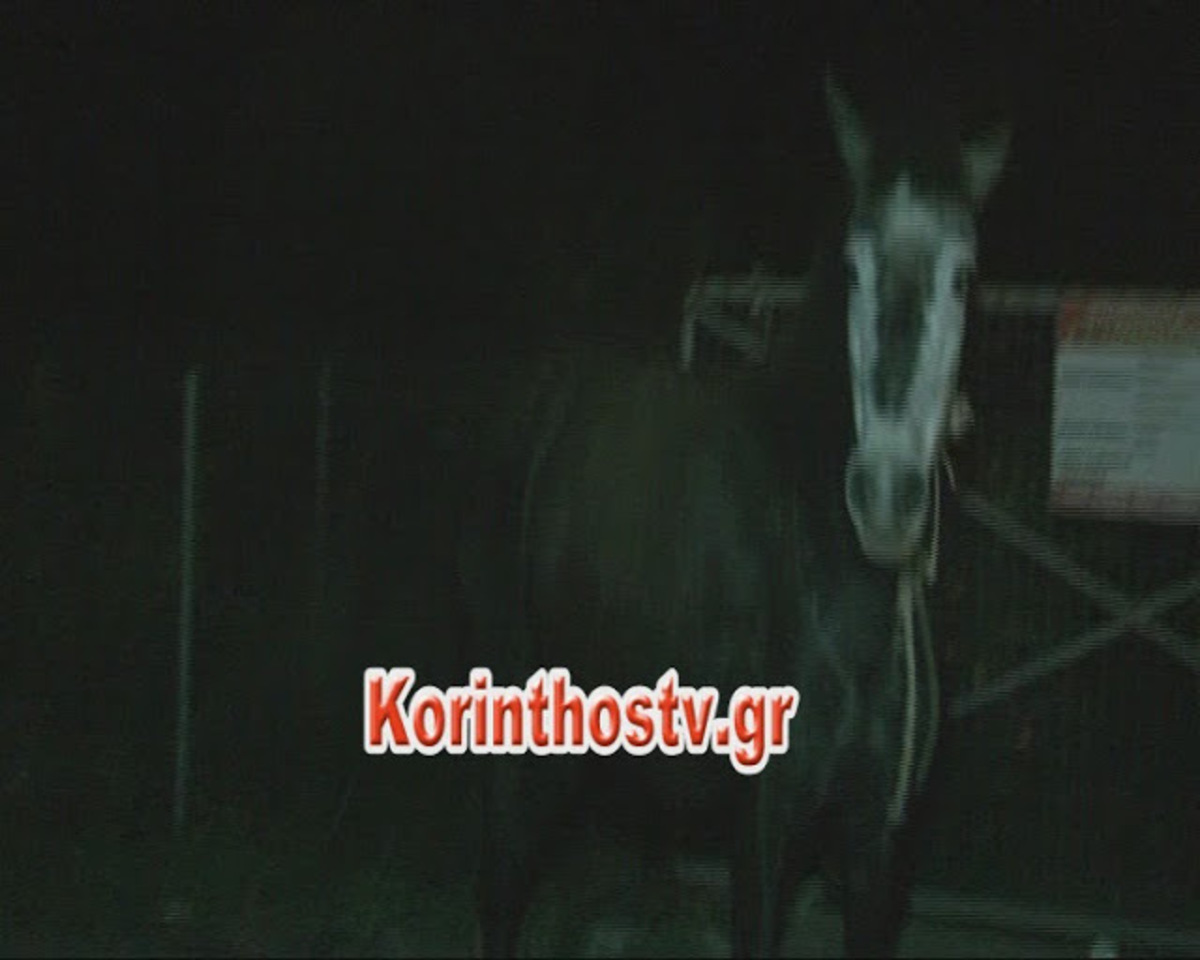 ΦΩΤΟ από korinthostv