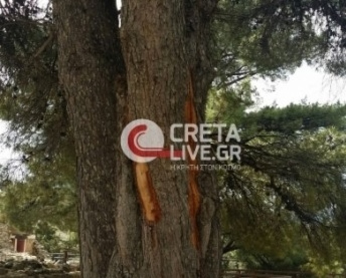 ΦΩΤΟ από cretalive.gr