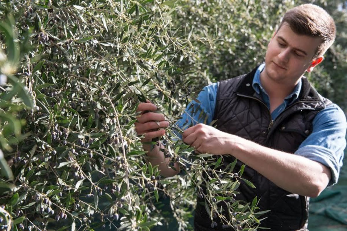 ΦΩΤΟ από flashnews.gr