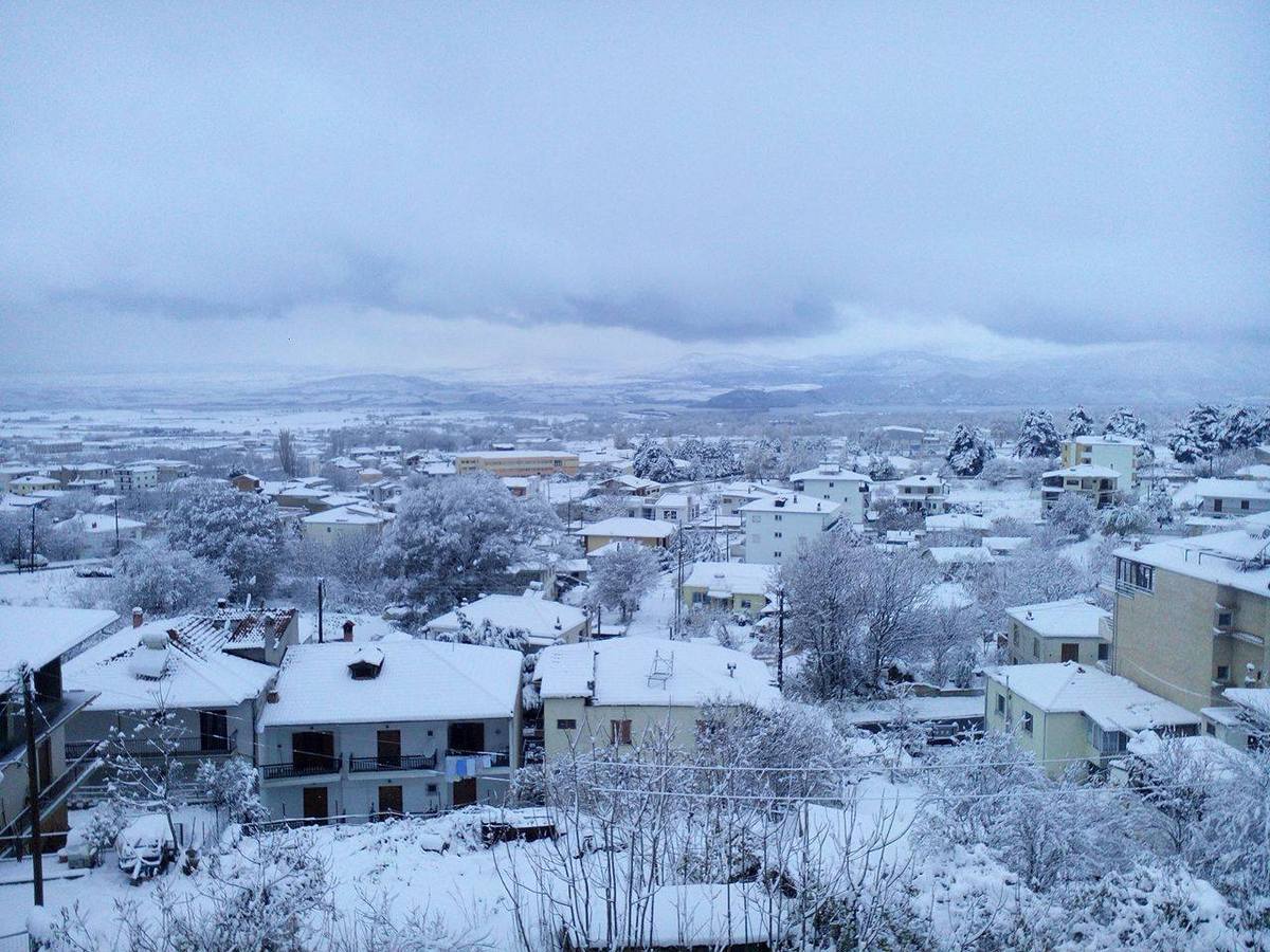 ΦΩΤΟ από kozan.gr